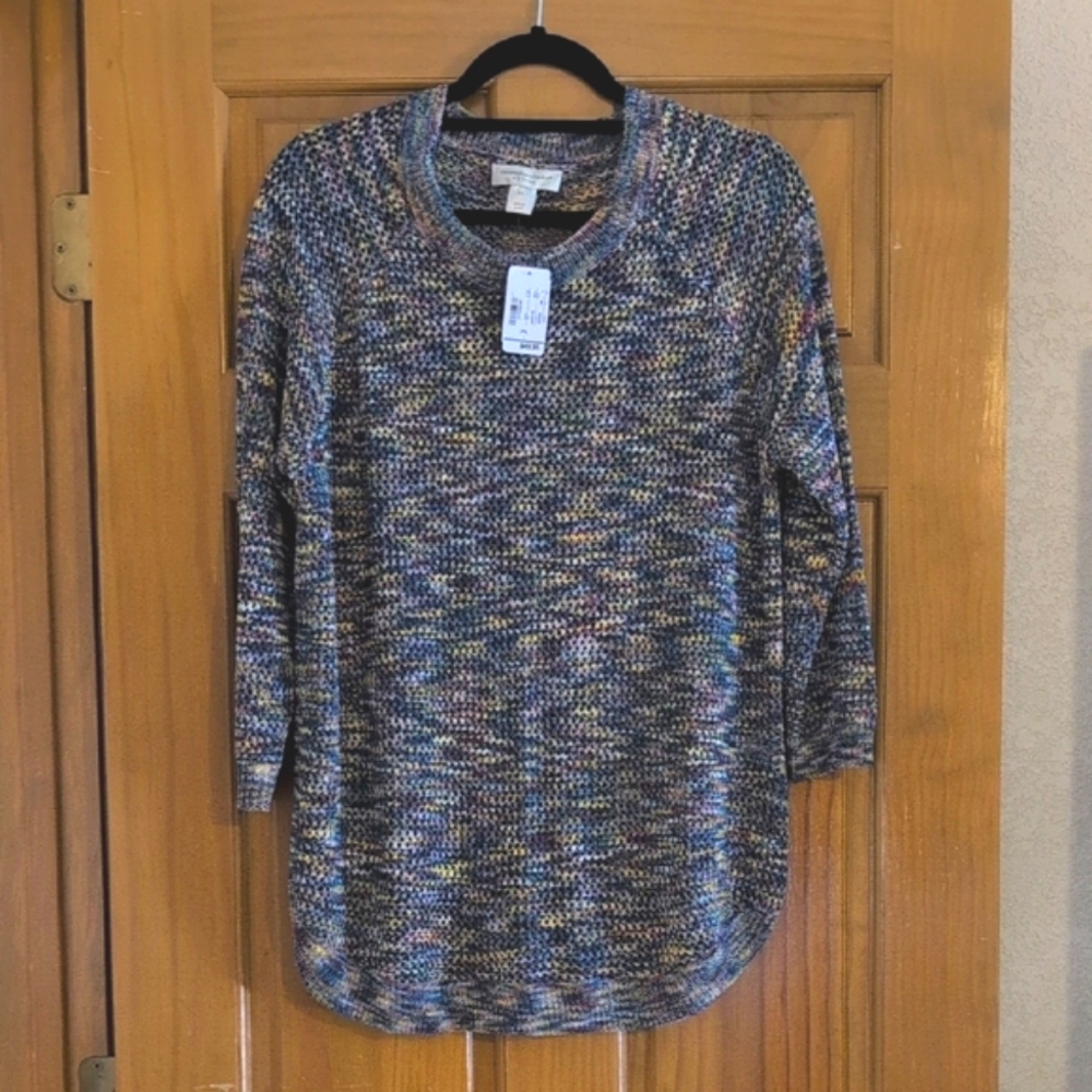 Christopher & Banks Multicolor Knit Top